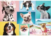 Trefl 1500 Parça Sevimli Köpekler Puzzle