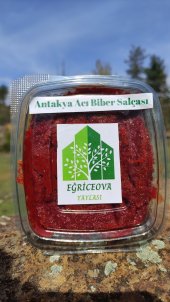 Eğriceova Yaylası - Katkısız Antakya Acı Biber Salçası 5000 gr