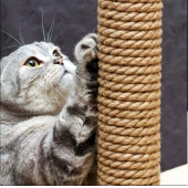 PATİTOYS Kedi Tırmalama ipi jut halat 8 Mm 15 metre