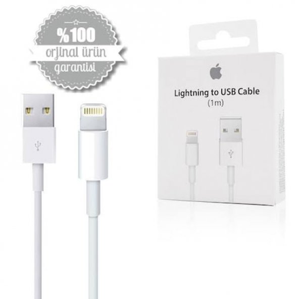 Day Orjinal Apple iPad Air Lightning USB Data Şarj Kablosu
