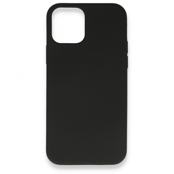BSSM iPhone 12 Mini Kılıf Nano içi Kadife Silikon - Siyah
