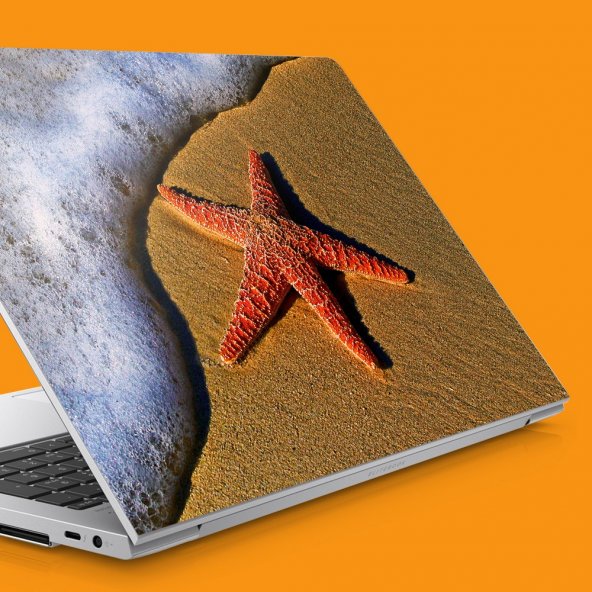 Sahilde Deniz Yıldızı Notebook Sticker Laptop sticker Hp Sticker Asus Sticker 15.6 inç Sticker