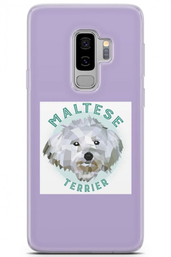 Samsung Galaxy S9 Plus Uyumlu Kılıf Maltese 10 Kap Terrier