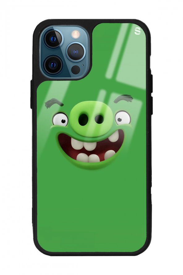 Iphone 11 Pro Uyumlu Green Angry Birds Tasarımlı Glossy Telefon Kılıfı