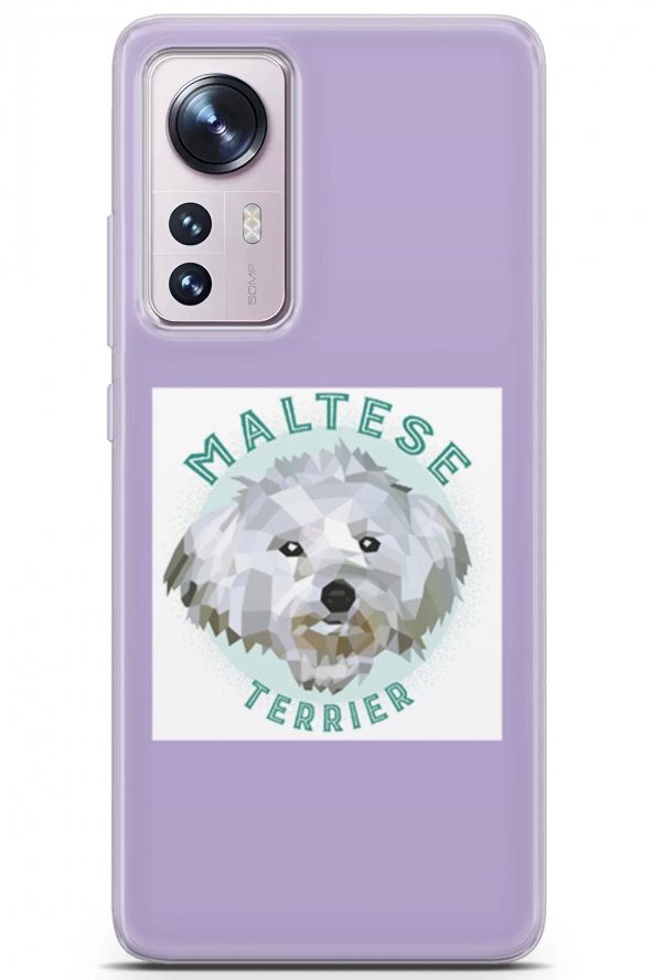 Xiaomi 12X Uyumlu Kılıf Maltese 10 Kabı Terrier